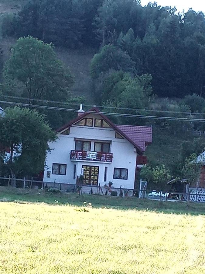 Casa Rares Toc Villa Vidra  Bagian luar foto